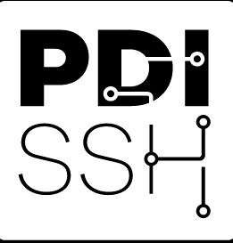 Platform Digital Infrastructure SSH awards grants to Posthumus Board member Jan Kok and Posthumus fellow Auke Rijpma