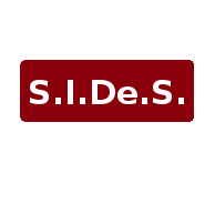 Online Summer School ‘Exploring Open Large-Scale Historical Demographic Databases’